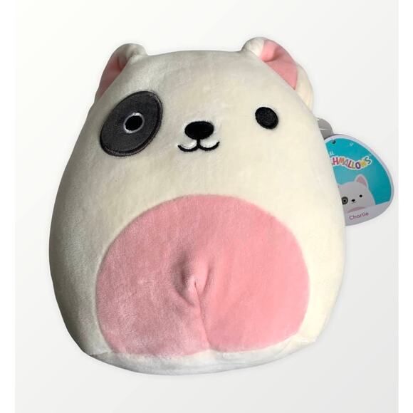 Squishmallows Charlie Bull Terrier Dog 8" Plush Black Eye White Pup Soft Puppy - Picture 3 of 16